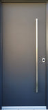 Security Door for Apartment