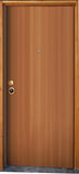 Security Door for Apartment in Mahogany