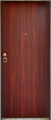 Security Door for Apartment